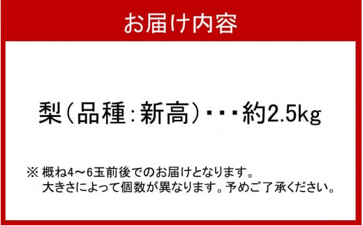 【先行予約】令和6年発送/SUNマルシェの梨『新高』約2.5kg 4～6玉_2284R