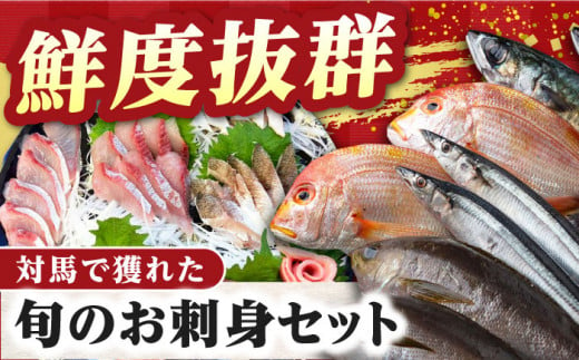 【全12回定期便】対馬 イカ 姿造り と 刺身 の セット 【真心水産】《対馬市》新鮮 海鮮 いか 冷凍 刺身 ケンサキイカ 島魚 海鮮丼 手巻き寿司 [WAK015]