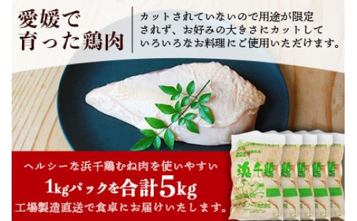 ＜銘柄鶏 浜千鶏 愛媛県産 若鶏むね肉 5kg（1kg×5）＞ 国産 鶏肉 鳥肉 とり チキン むね肉 ムネ はまちどり 精肉 にく ブロック 料理 アレンジ 夕飯 夕食 お弁当 昼食 唐揚げ から揚げ マルハフーズ株式会社 愛媛県 西予市 【冷凍】『1か月以内に順次出荷』