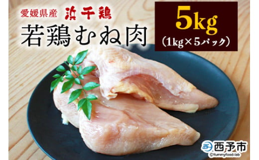 ＜銘柄鶏 浜千鶏 愛媛県産 若鶏むね肉 5kg（1kg×5）＞ 国産 鶏肉 鳥肉 とり チキン むね肉 ムネ はまちどり 精肉 にく ブロック 料理 アレンジ 夕飯 夕食 お弁当 昼食 唐揚げ から揚げ マルハフーズ株式会社 愛媛県 西予市 【冷凍】『1か月以内に順次出荷』