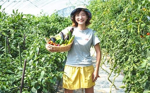 【2025年7月～3回便】★低農薬使用★旬な新鮮野菜直送！