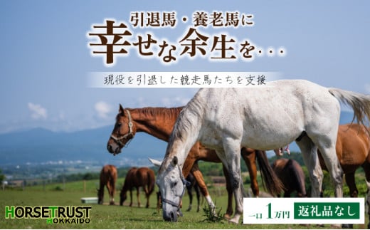 【引退競走馬 余生支援】北海道 岩内町 ホーストラスト北海道支援 1万円コース 引退馬 F21H-556