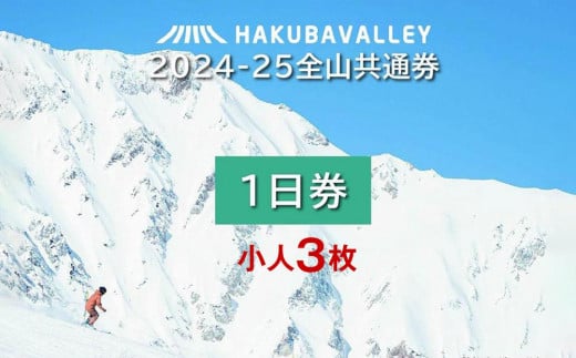 2024-2025 Hakuba Valley 全山共通1日券 小人3枚