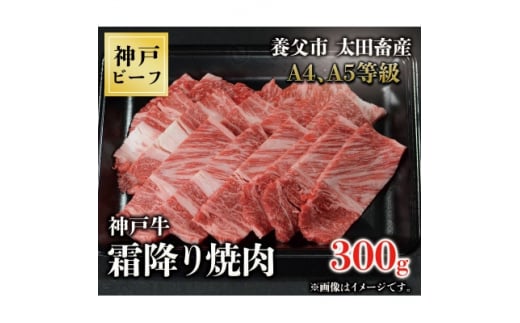 神戸牛　霜降り焼肉　300g【1441812】