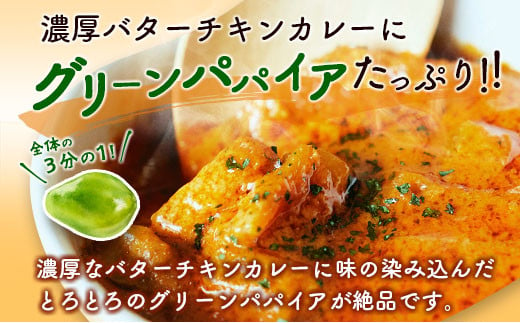 グリーンパパイア レトルト カレー セット 全2種 200g×計4袋 宮崎県産