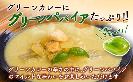 グリーンパパイア レトルト カレー セット 全2種 200g×計4袋 宮崎県産