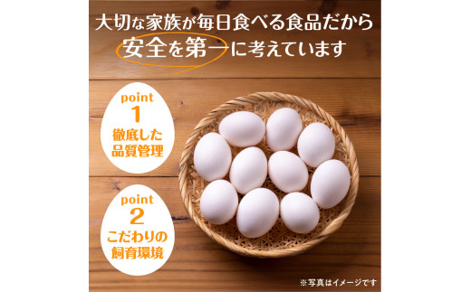 【3回定期便】大平原ファームの新鮮でおいしい卵 計50個(白卵)×3ヶ月_S035-0006