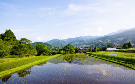 【返礼品なし】水上村への寄付 1口 50,000円 【皆さまからの温かい支援、よろしくお願いいたします】