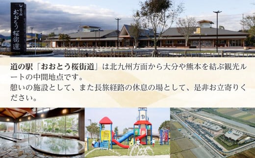 ＜道の駅おおとう桜街道さくら館＞大浴場回数券11枚綴り【温泉 温泉施設 回数券 道の駅 入浴 日帰り入浴 人気 レジャー お出かけ 旅行 旅 癒し 福岡県 大任町 C005】