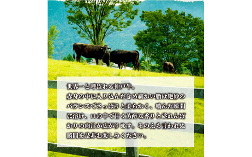 ★選べる配送月★[12月発送]神戸牛サーロインステーキ(200g×1枚)《 自社牧場直送 国産 神戸牛 肉のヒライ サーロインステーキ 赤身 サーロイン ステーキ 牛肉 》【2402A00103-00】