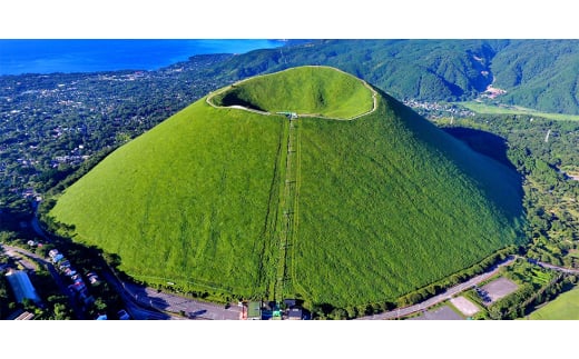 静岡県伊東市＜奏の森リゾート＞フォレストグランピング　レストランで熟成肉堪能プラン　宿泊券【1485974】