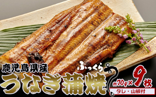 鹿児島県産　うなぎ蒲焼　約70g×9枚【タレ・山椒付】　