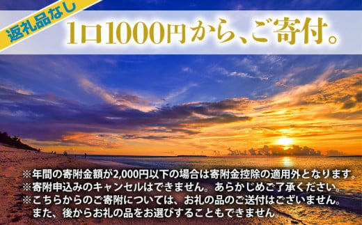 【返礼品なし】沖縄県本部町ふるさと応援寄附金 5000円 寄附のみの応援 寄附のみ 返礼品なし 返礼品無し　御礼品なし　御礼品無し