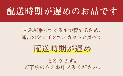 《2025年先行予約》山形県 高畠町産 シャインマスカット 3.2kg( 4～6房) 2025年10月中旬から順次発送 ぶどう ブドウ 葡萄 マスカット 大粒 種なし 高級 くだもの 果物 フルーツ 秋果実 産地直送 農家直送 数量限定 F20B-855