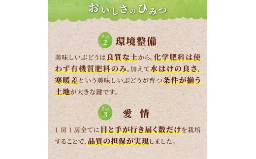 《2025年先行予約》山形県 高畠町産 シャインマスカット 3.2kg( 4～6房) 2025年10月中旬から順次発送 ぶどう ブドウ 葡萄 マスカット 大粒 種なし 高級 くだもの 果物 フルーツ 秋果実 産地直送 農家直送 数量限定 F20B-855