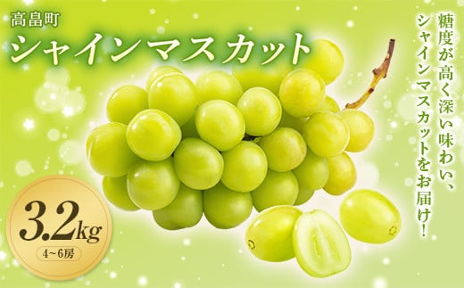 《2025年先行予約》山形県 高畠町産 シャインマスカット 3.2kg( 4～6房) 2025年10月中旬から順次発送 ぶどう ブドウ 葡萄 マスカット 大粒 種なし 高級 くだもの 果物 フルーツ 秋果実 産地直送 農家直送 数量限定 F20B-855