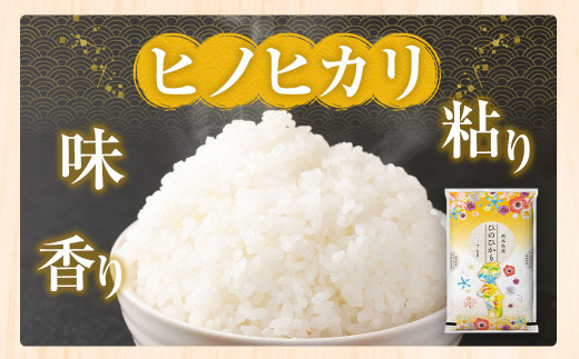 ヒノヒカリ 7kg × ヒノヒカリ 7kg 計14kg 白米 熊本県産