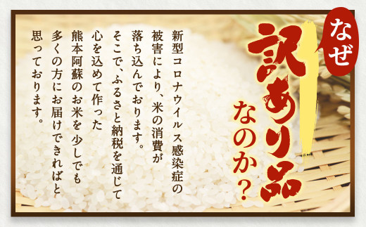 ヒノヒカリ 7kg × ヒノヒカリ 7kg 計14kg 白米 熊本県産