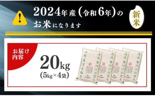 【2025年1月上旬】令和6年産 はえぬき 20kg（5kg×4袋） 山形県産 2024年産 【 精米 白米 東北 山形産 国産 20キロ 5キロ 4袋 食品 お取り寄せ 小分け ご飯 発送時期 配送時期 発送月 配送月 選べる ランキング 入賞歴 銘柄米 ロングセラー ブランド米 寒河江市 】040-C-JA011-2025-1上