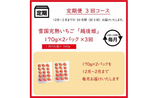 定期便 3回【12～2月発送】いちごの定期配送 雪国完熟いちご越後姫170g×2全3回 越後姫 いちご 定期便 完熟