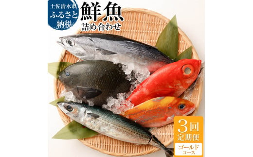 <3回定期便> 季節の鮮魚 おまかせお楽しみセット（ゴールドコース）天然魚 食べ比べ 魚介類 海鮮料理 魚 鮮魚 新鮮 刺し身 煮付け お楽しみ 定期便 3ヶ月 高知 【J00047】