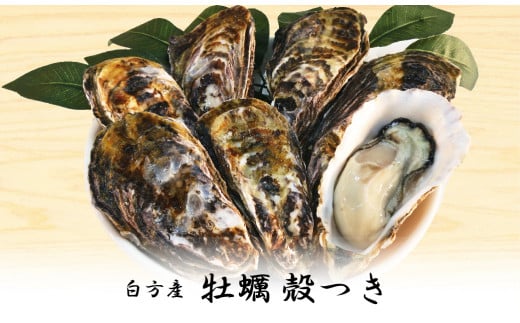 多度津白方 殻付活牡蠣カンカン焼セット3kg(加熱用)（予約受付中：旬にお届け！2025年1月頃から期間限定出荷！）【H-1】