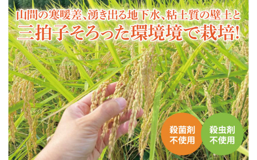 【茨城県共通返礼品・潮来市産】令和6年産新米　栽培期間出来るだけ農薬を減らして作る「かすみ米」（コシヒカリ）玄米10kg 【げんまい 減農薬 こしひかり おいしい おこめ 安心 安全 健康】（KBE-64）