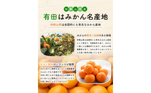 有田育ちのご家庭用完熟 有田みかん 8.5kg＋300g ※2024年12月上旬～12月下旬頃に順次発送【ard220-2】