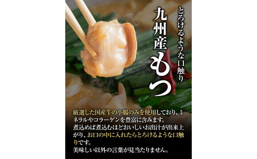 いろはのもつ鍋セット 2~3人前 株式会社いろは《30日以内に出荷予定(土日祝除く)》もつ鍋 あごだし 味噌 九州産 牛小腸 もつ 鍋 うどん