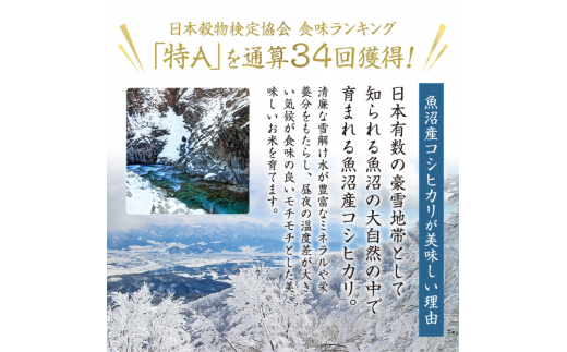 ＜新米発送＞【定期便/全3回】十日町産魚沼コシヒカリ 米屋五郎兵衛 精米5kg