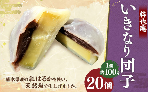 いきなり団子 約100g×20個入