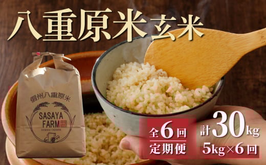 令和7年新米予約【6回定期便】八重原米5kg（5kg×1袋）玄米 ※2025