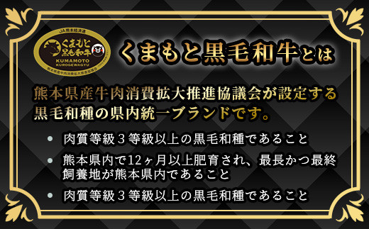 【A4～ A5等級】くまもと黒毛和牛モモステーキ 約約500g