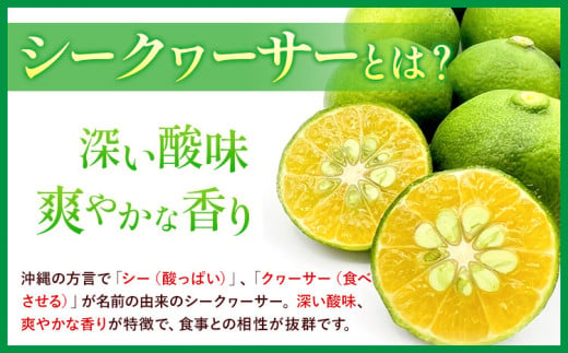 シークヮーサー 和歌山県産 【訳あり】 シークヮーサー 約2kg （サイズ混合） 山本農園 《10月上旬-1月上旬頃出荷》和歌山県 日高川町 柑橘 果物 フルーツ シークワーサー ライム レモン