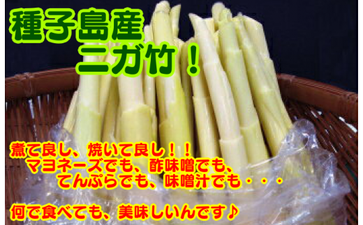 湯がいてマヨ！も良いし、天ぷらも絶品だし・・・味噌汁も、煮物も・・・美味しいんですよ。悩む～！