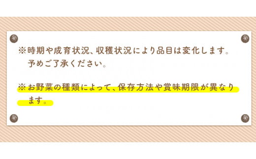 【6ヶ月定期便】 旬の新鮮野菜・果物詰合せセット (計6回お届け)たっぷり8-12品目 《お申込み月の翌月から出荷開始》熊本県氷川町産 道の駅竜北