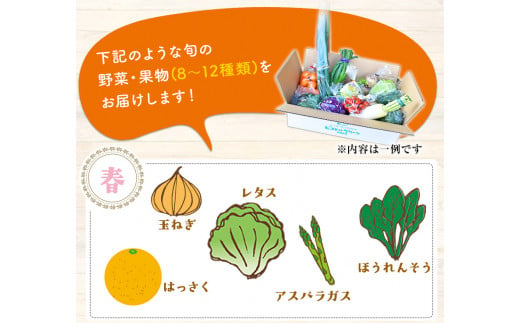 【6ヶ月定期便】 旬の新鮮野菜・果物詰合せセット (計6回お届け)たっぷり8-12品目 《お申込み月の翌月から出荷開始》熊本県氷川町産 道の駅竜北