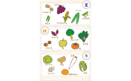 【6ヶ月定期便】 旬の新鮮野菜・果物詰合せセット (計6回お届け)たっぷり8-12品目 《お申込み月の翌月から出荷開始》熊本県氷川町産 道の駅竜北