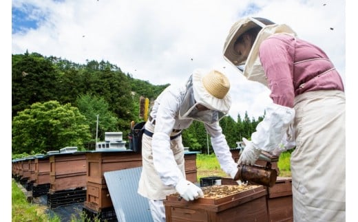 自然豊かな岩手県・西和賀町で採蜜した 100％ 天然 のはちみつです