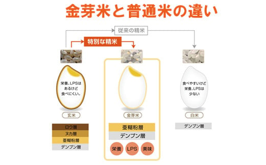 BG無洗米・金芽米つや姫 5kg×3回 定期便（隔月）計量カップ無し【新米 令和6年産 2ヶ月に1回 6ヶ月 時短 健康】