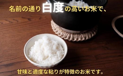 【令和６年産　新米】埼玉ブランド米　彩のかがやき　20kg（10kg×2袋）