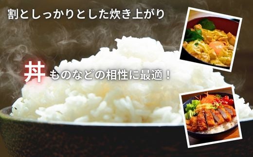 【令和６年産　新米】埼玉ブランド米　彩のかがやき　20kg（10kg×2袋）