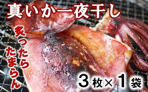 【年内発送】 北三陸産 真イカの一夜干し 3枚入り×1袋 いか一夜干し いか イカ焼き イカ飯 BBQ イカゲソ 年内 年内配送 年内お届け