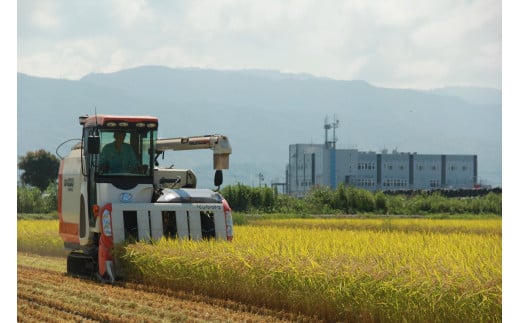 73-13 《令和6年産》モチ米 5kg