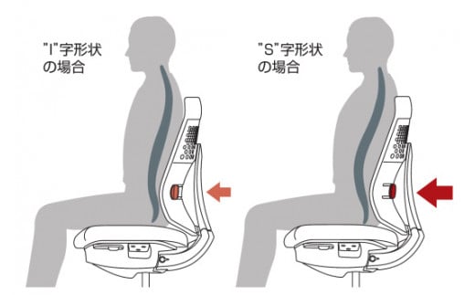 背骨のS字形状を保つための2つのサポート機能