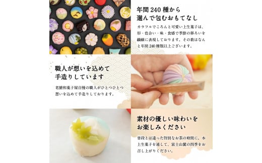 「四季の上生菓子」12個入【富士夢和菓子】　和菓子 生菓子  スイーツ 餡 練り切り 山梨 富士吉田