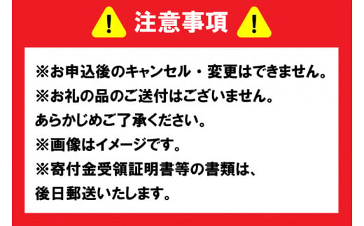 【返礼品なし】 茨城県 水戸市 ふるさと応援寄附金 ( 5,000円 )(GT-3)