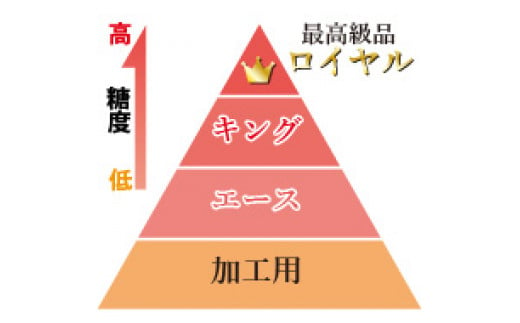 白桃「清水白桃ロイヤル（約2kg箱）」 岡山県総社市産【2025年産先行予約】25-050-001