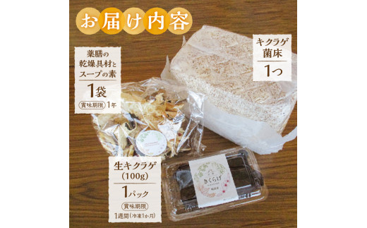 山梨県 忍野村産 生きくらげで頂く薬膳スープセット 4人前 栽培用キクラゲ菌床1つ付 純国産