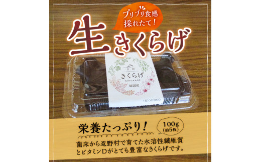 山梨県 忍野村産 生きくらげで頂く薬膳スープセット 4人前 栽培用キクラゲ菌床1つ付 純国産